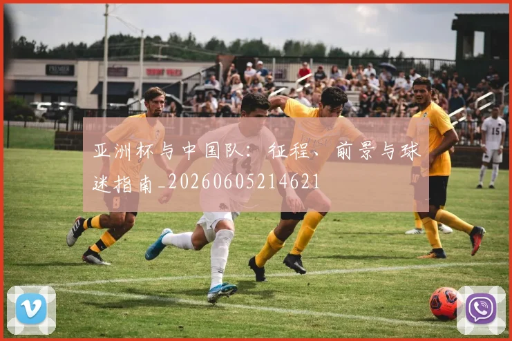 亚洲杯与中国队:征程、前景与球迷指南_20260605214621